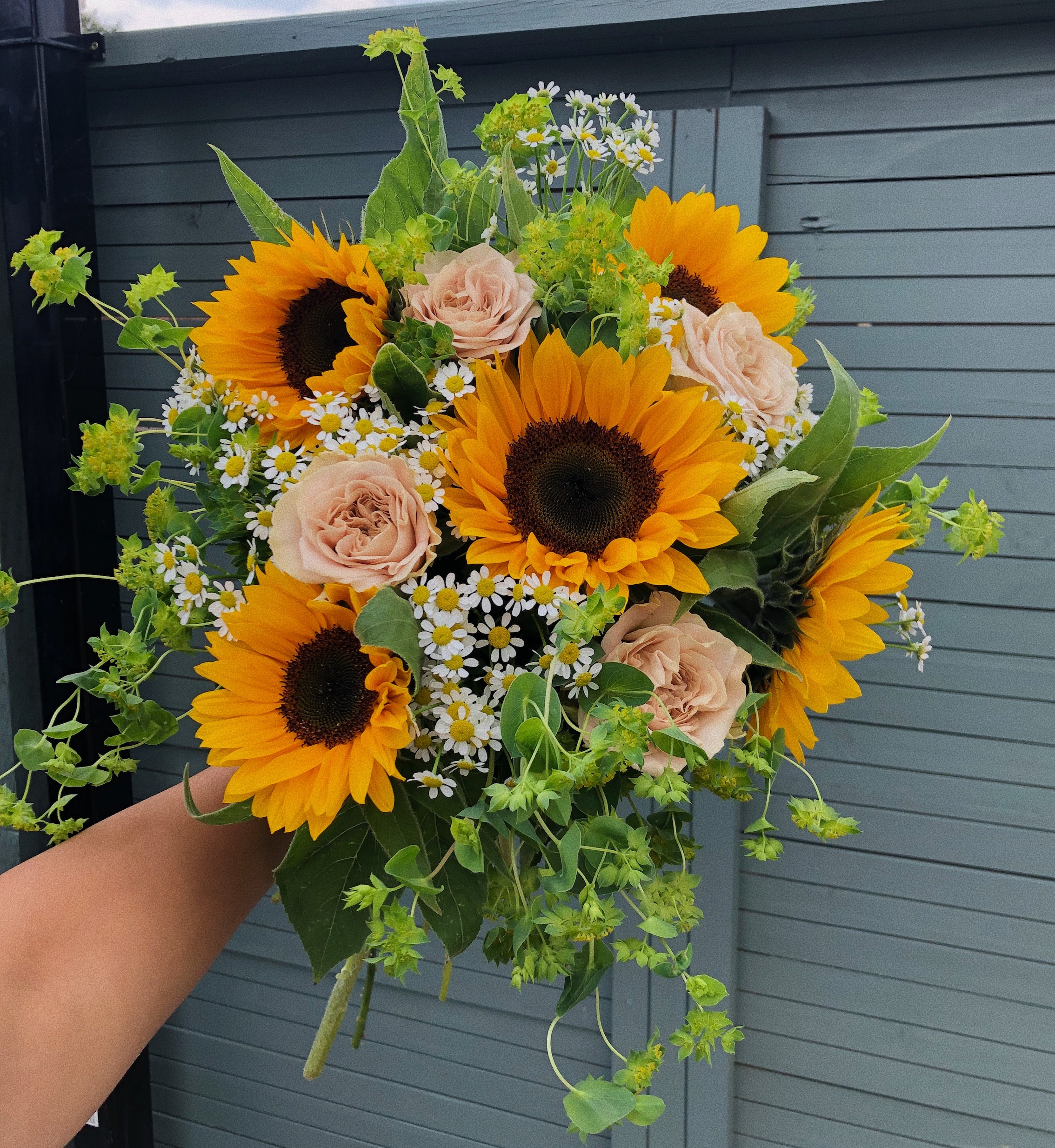 sunflowers and roses