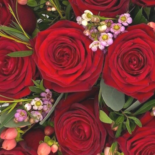 Red Naomi Roses original