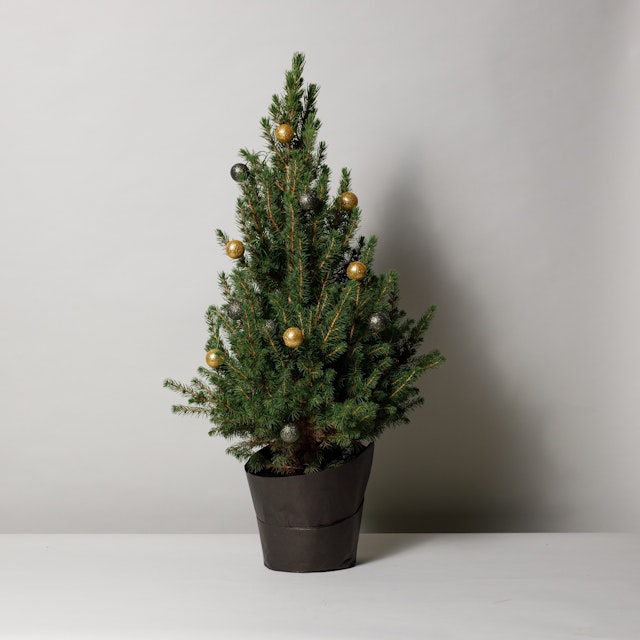 Mini tree