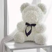 Teddy snow