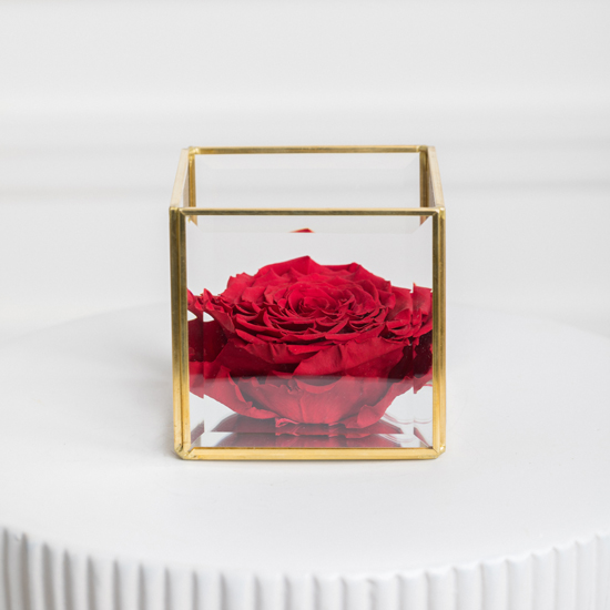 Preserved Rose