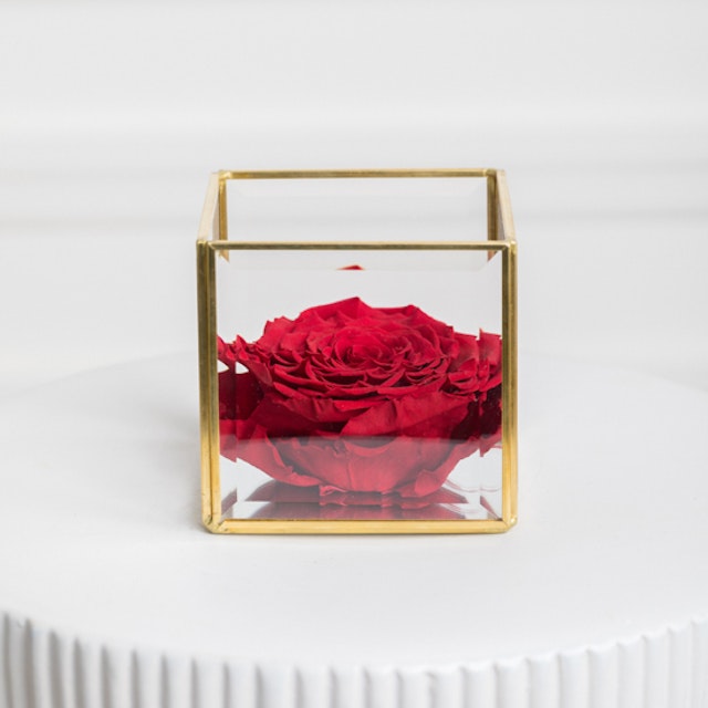 Preserved Rose