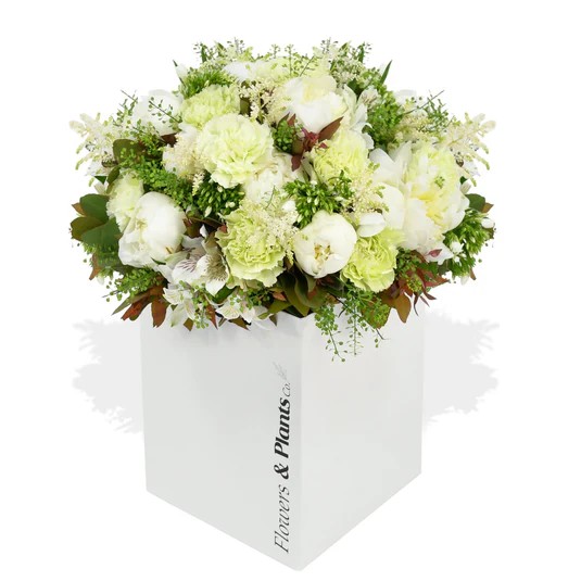 Original by Flowers & Plants Co — flowers available for delivery from Floom
