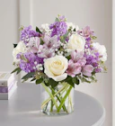 Lovely Lavender