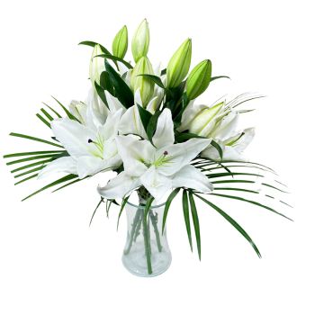 Celestial Grace White