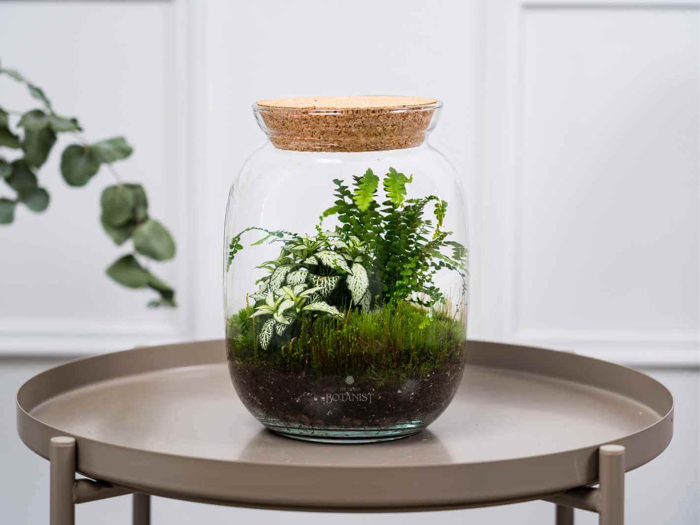 Terrarium Oxford