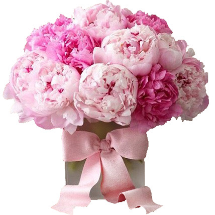 Pink Peonies