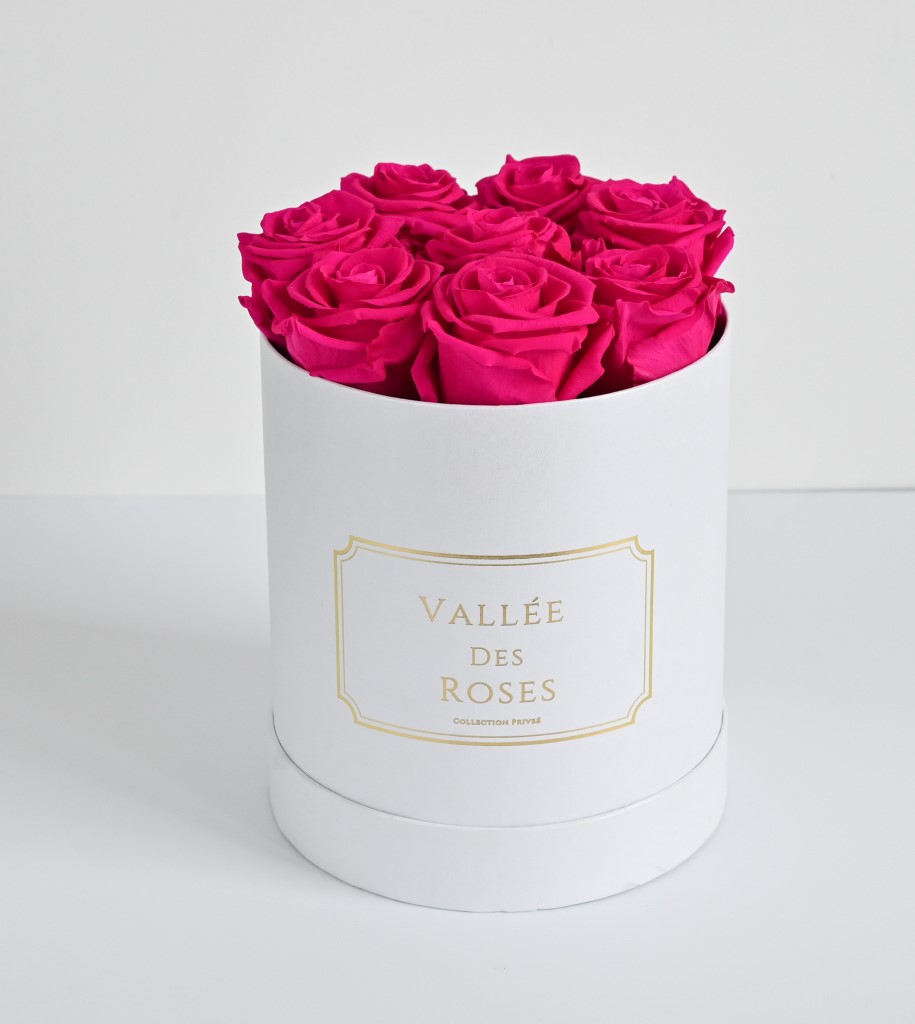 Fuchia Preserved Rose