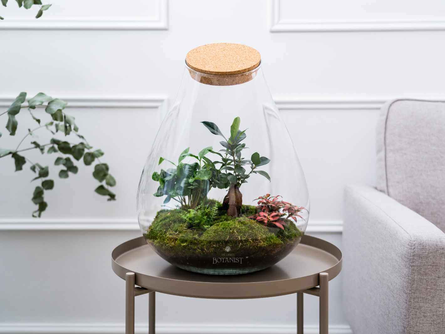 DIY Terrarium Kit H43