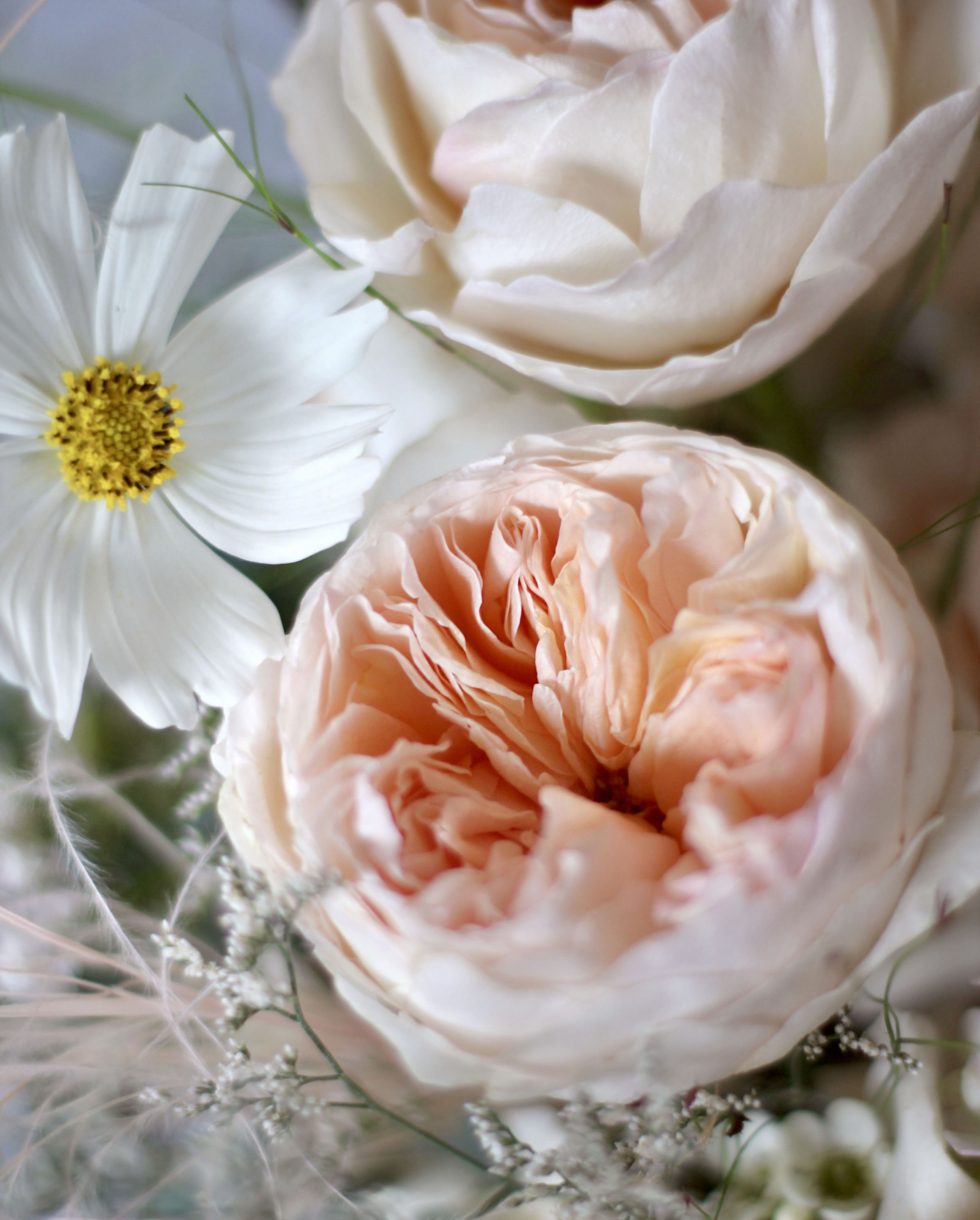 Original by Albert N Floral — flowers available for delivery from Floom