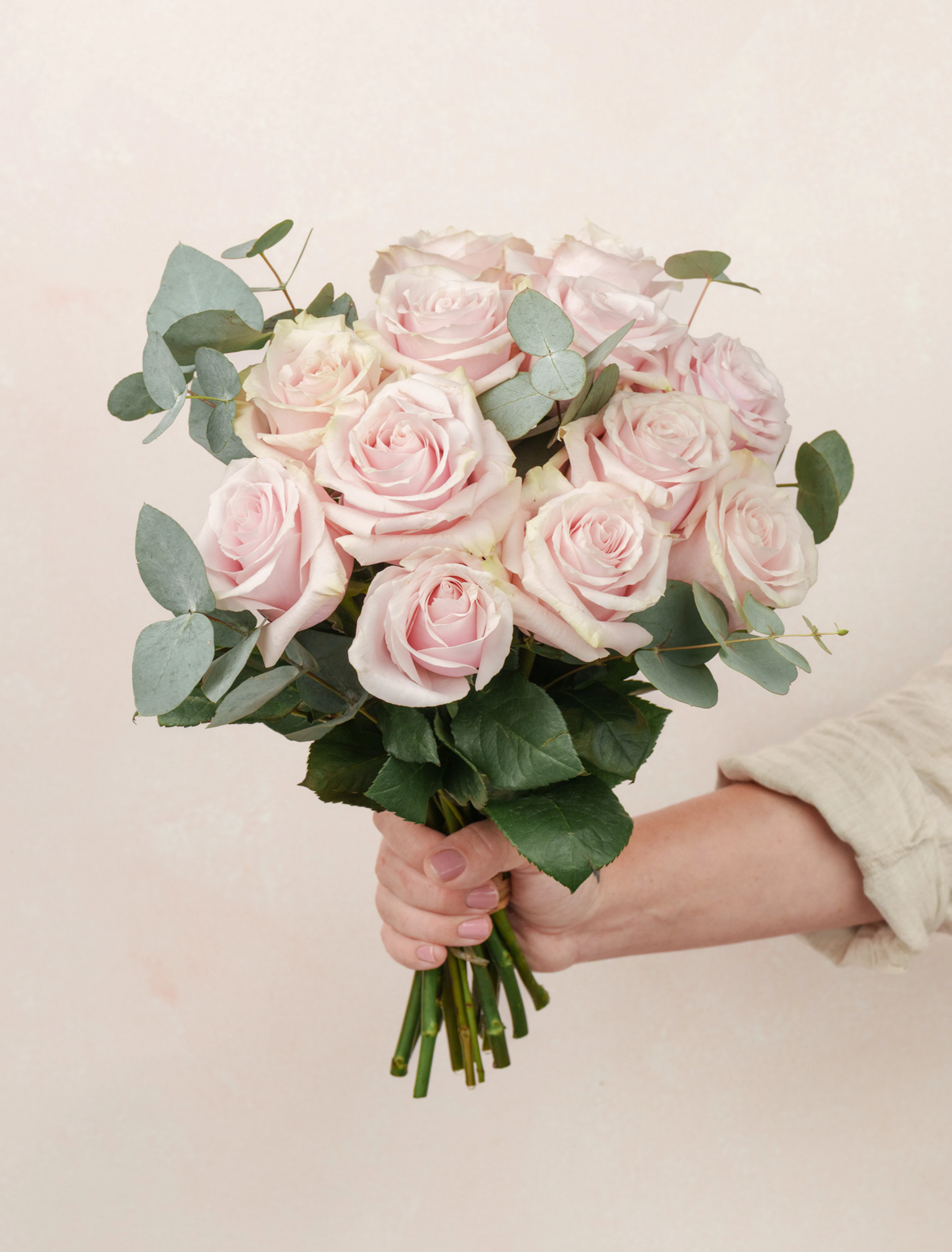 Brigitte by Ode a La ROSE- Chicago — flowers available for delivery from Floom