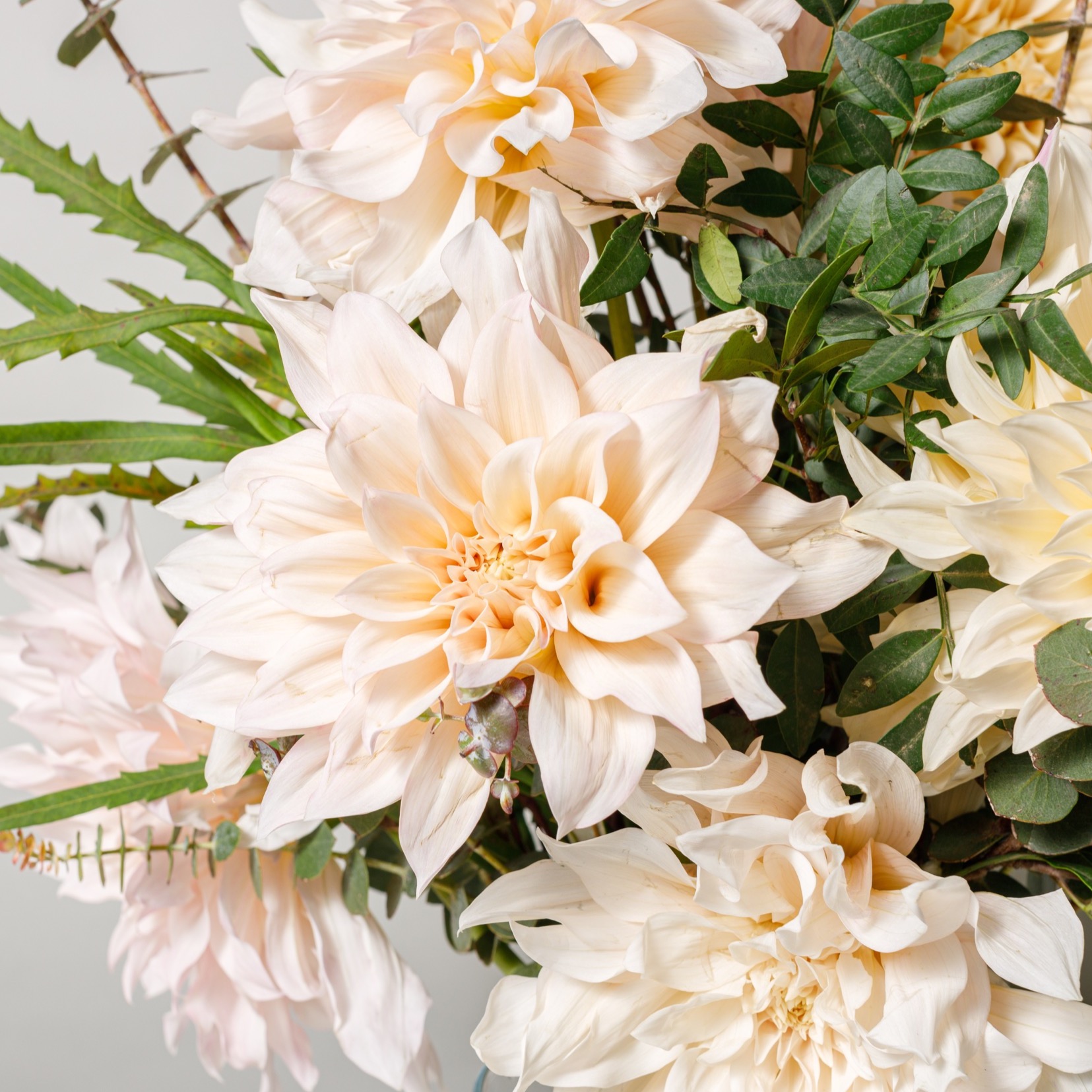 Supernova by Floom Collection — flowers available for delivery from Floom
