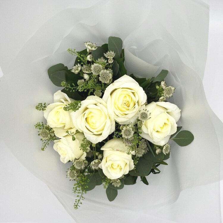 Six Luxe White Roses