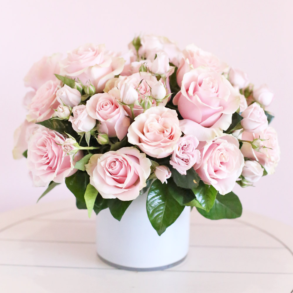 Pink Mondial Roses