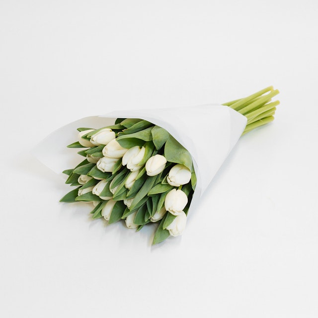 White Tulips