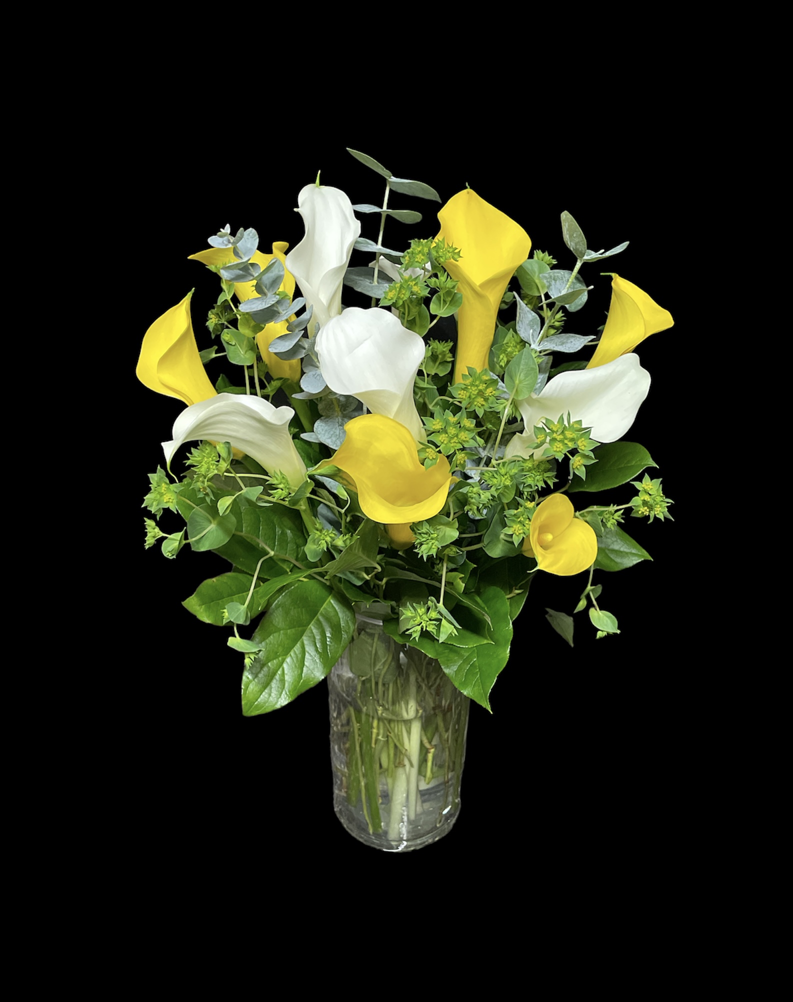 Lovely calla lilies