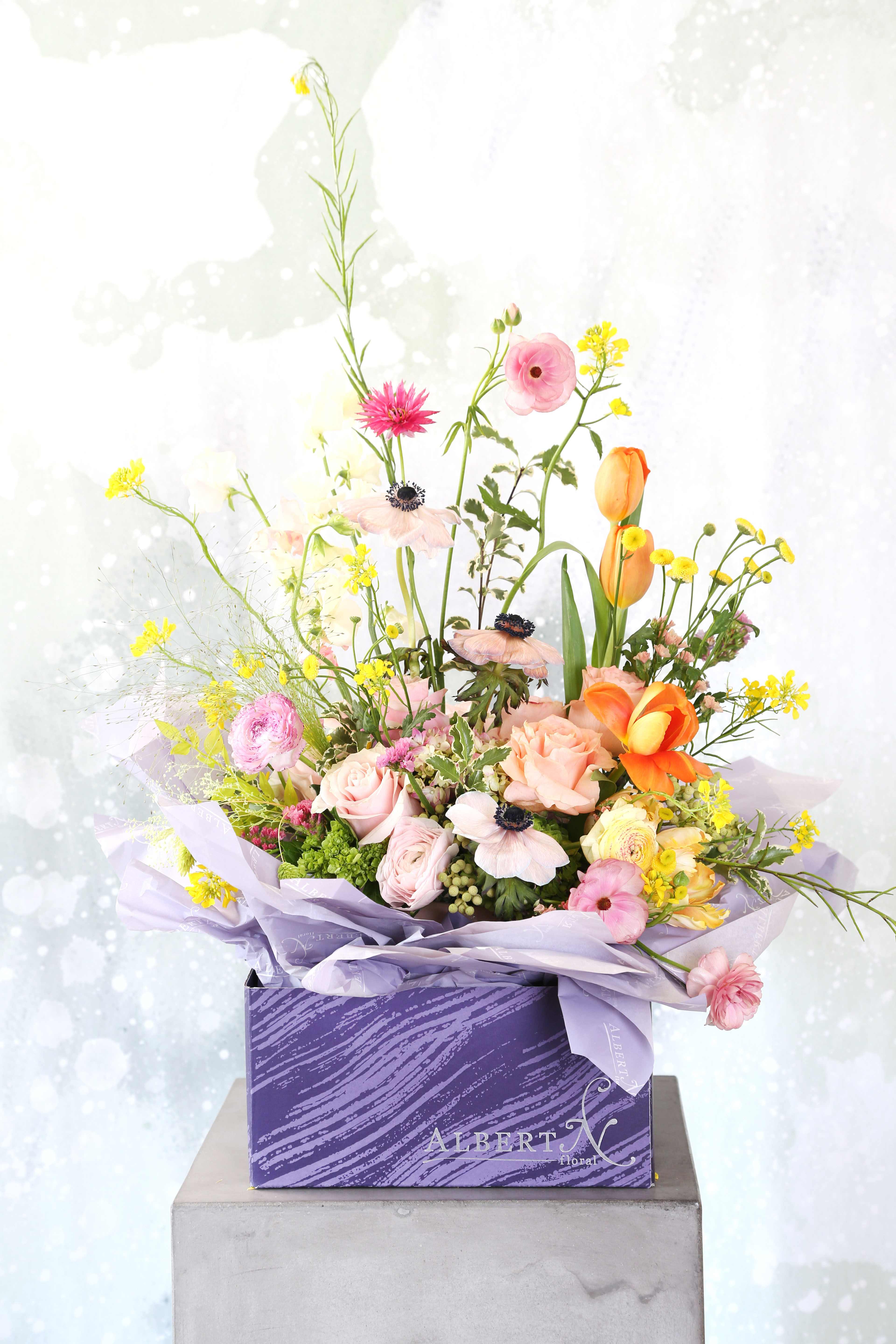 Mommy-Limited Edition