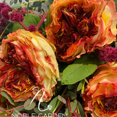 Original by Noble Garden Florist Weho — flowers available for delivery from Floom