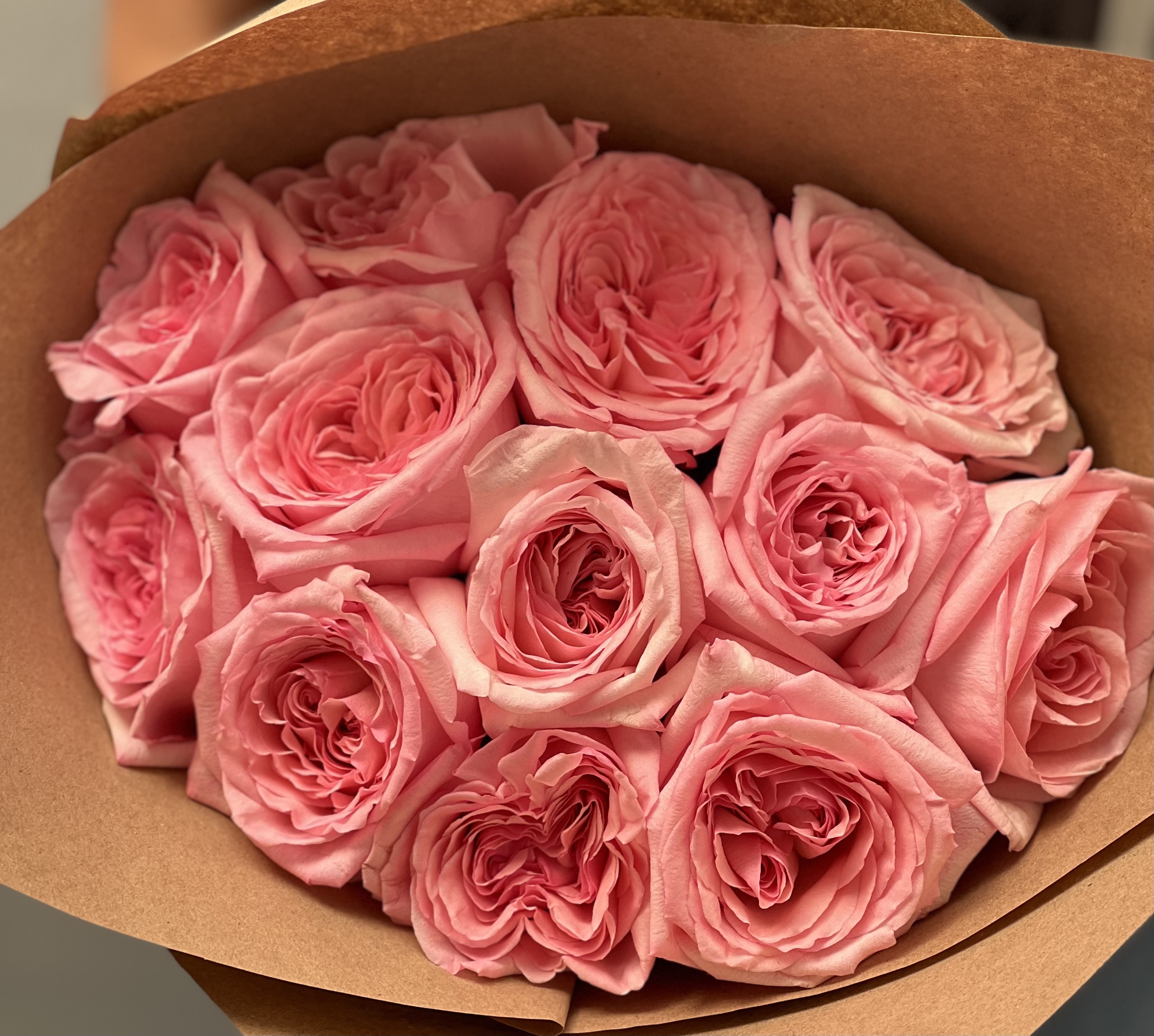 Dozen of garden roses