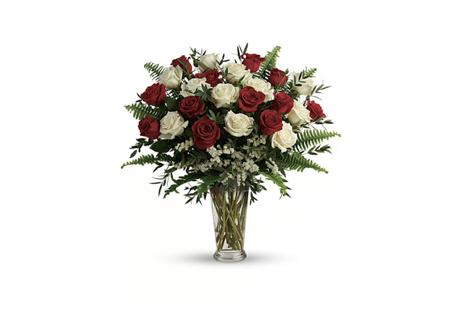 Red and White Roses