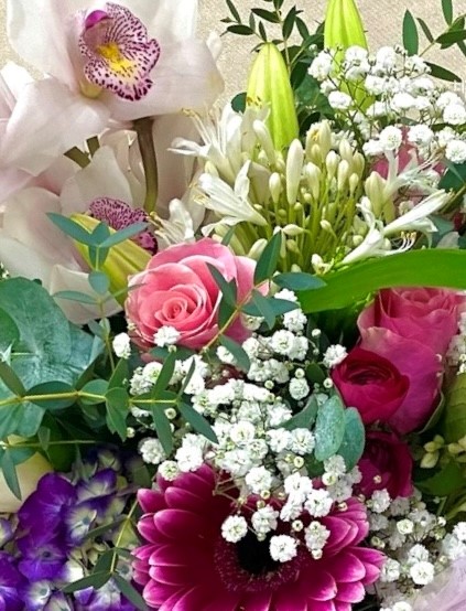 Isn't she delightful