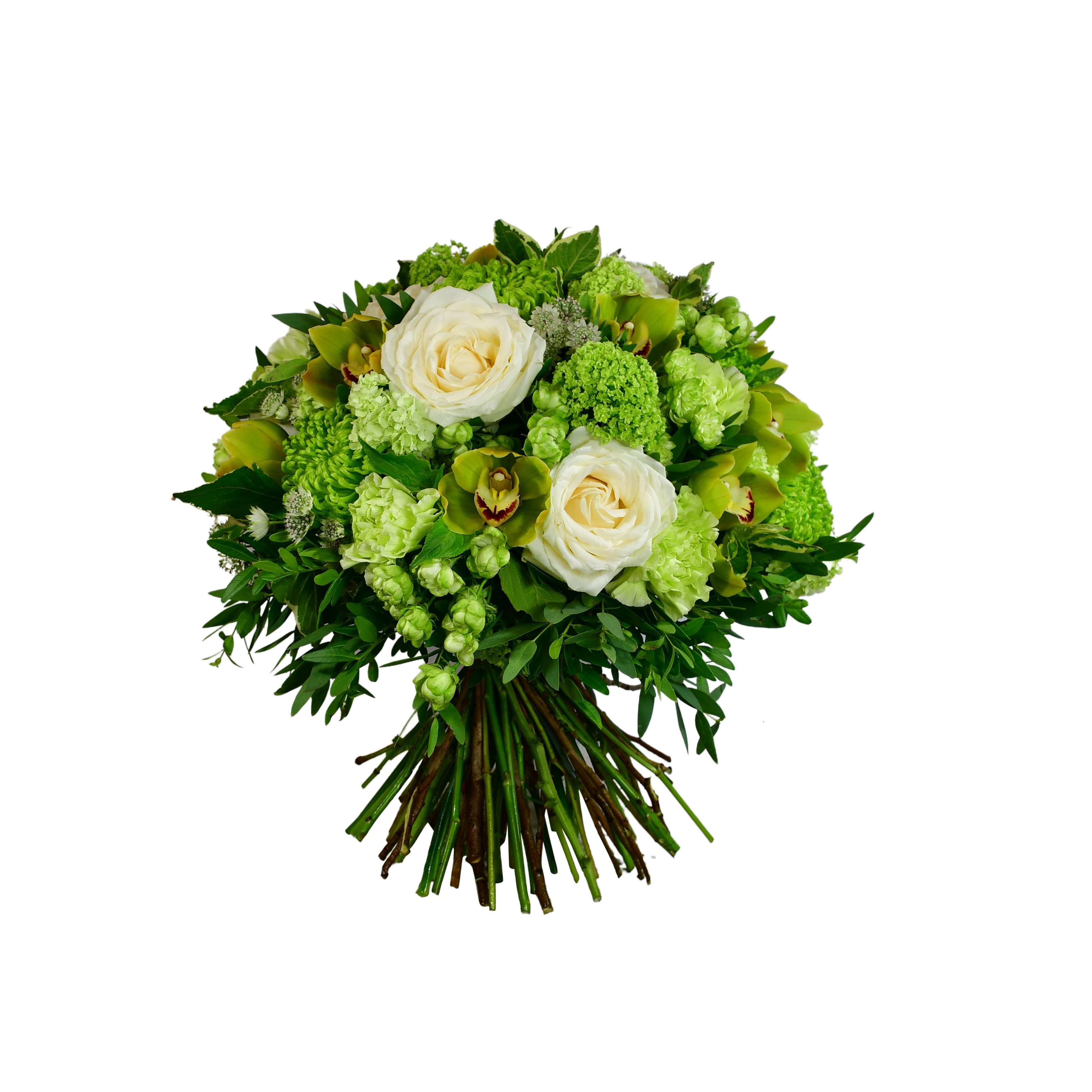 Simply Cymbidium by Moyses Stevens Flowers — flowers available for delivery from Floom