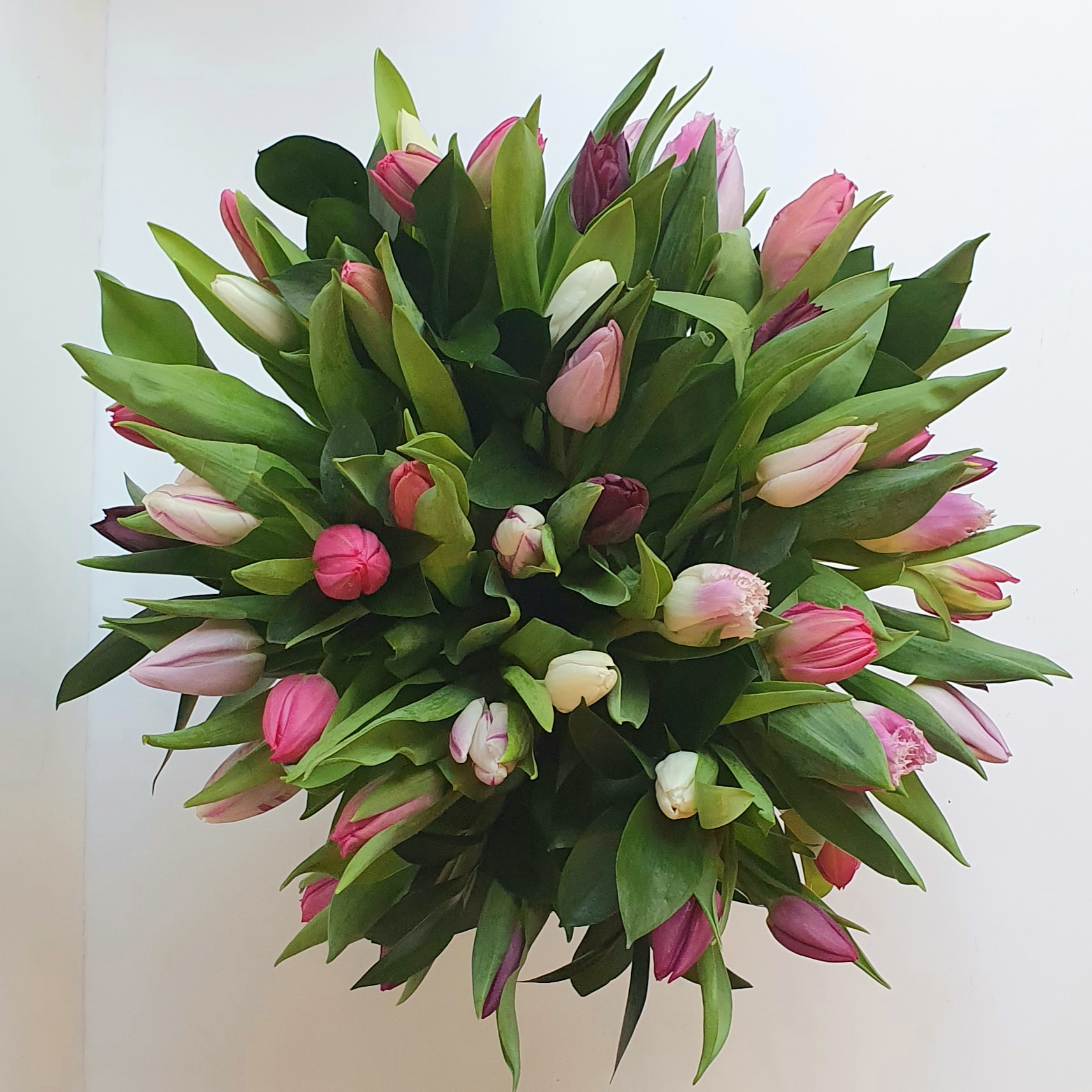 Tulip Bouquet