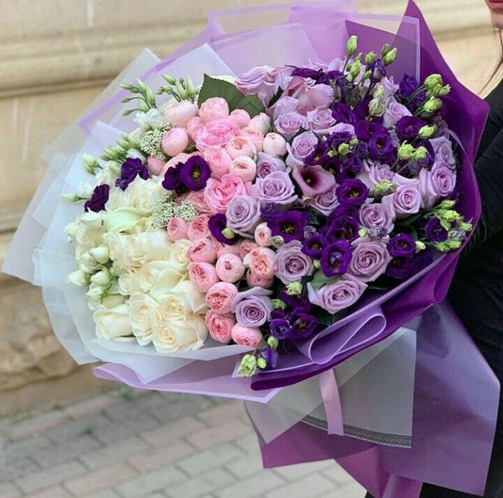 White,Pink and Purple