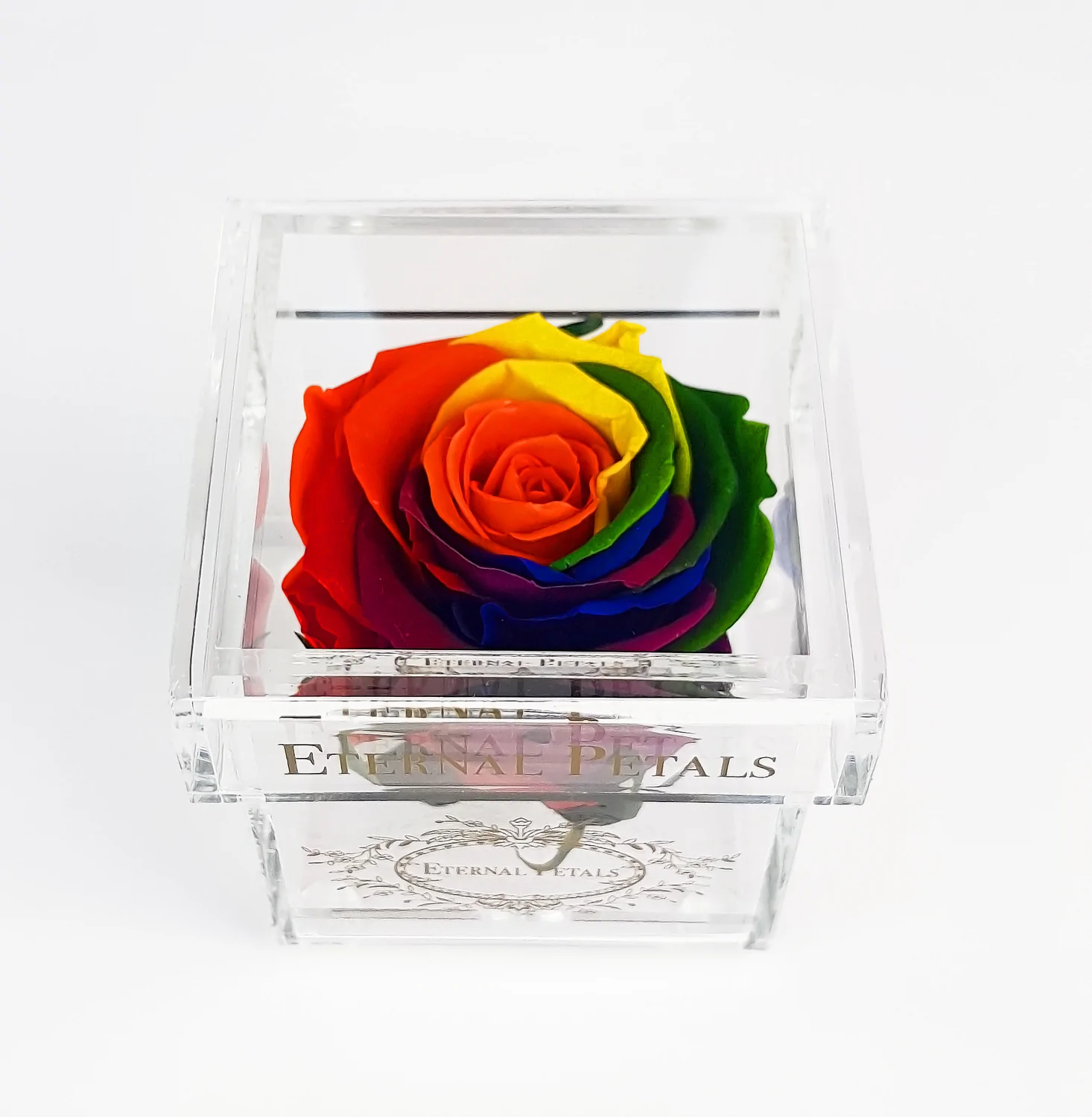 Eternal Rose Rainbow