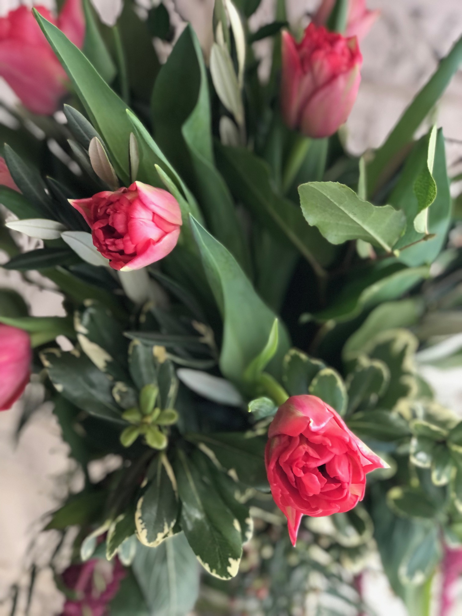 Tall Tulip Arrangemen