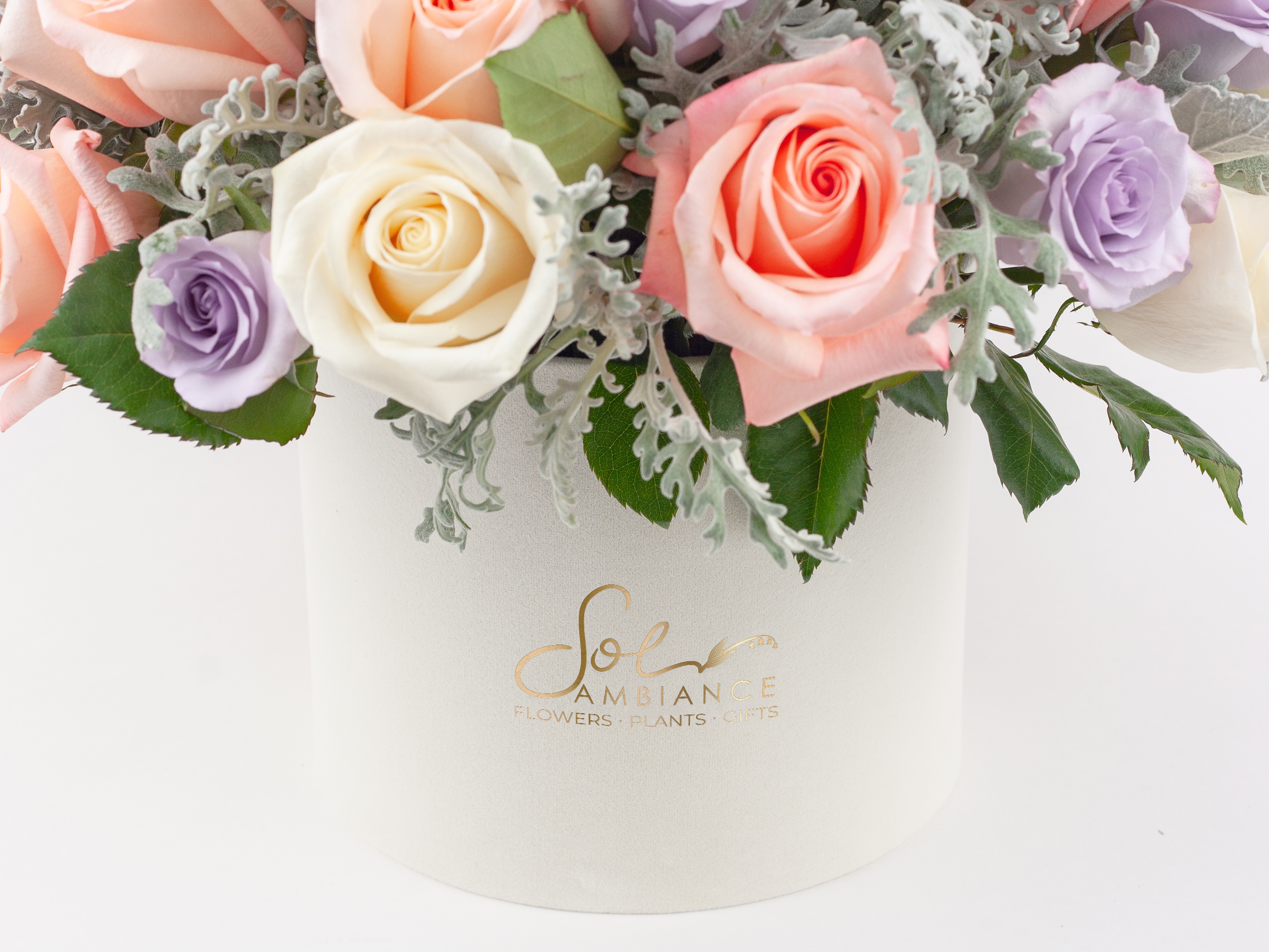 Hanging Mini Pothos original