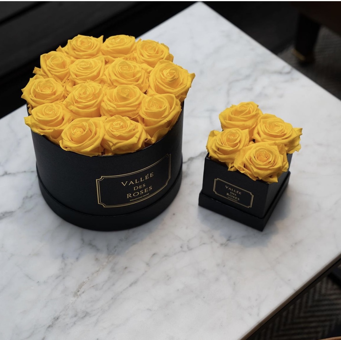 Yellow Eternity Roses