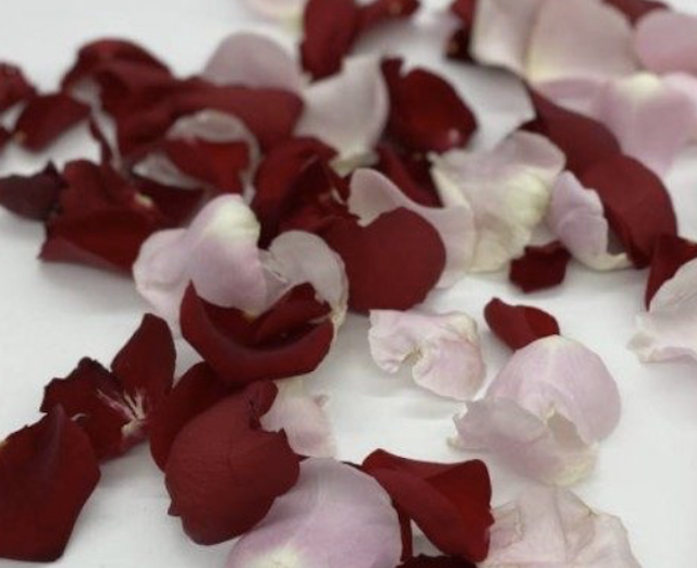 Rose Petals