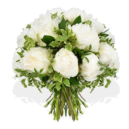 Original by Flowers & Plants Co — flowers available for delivery from Floom