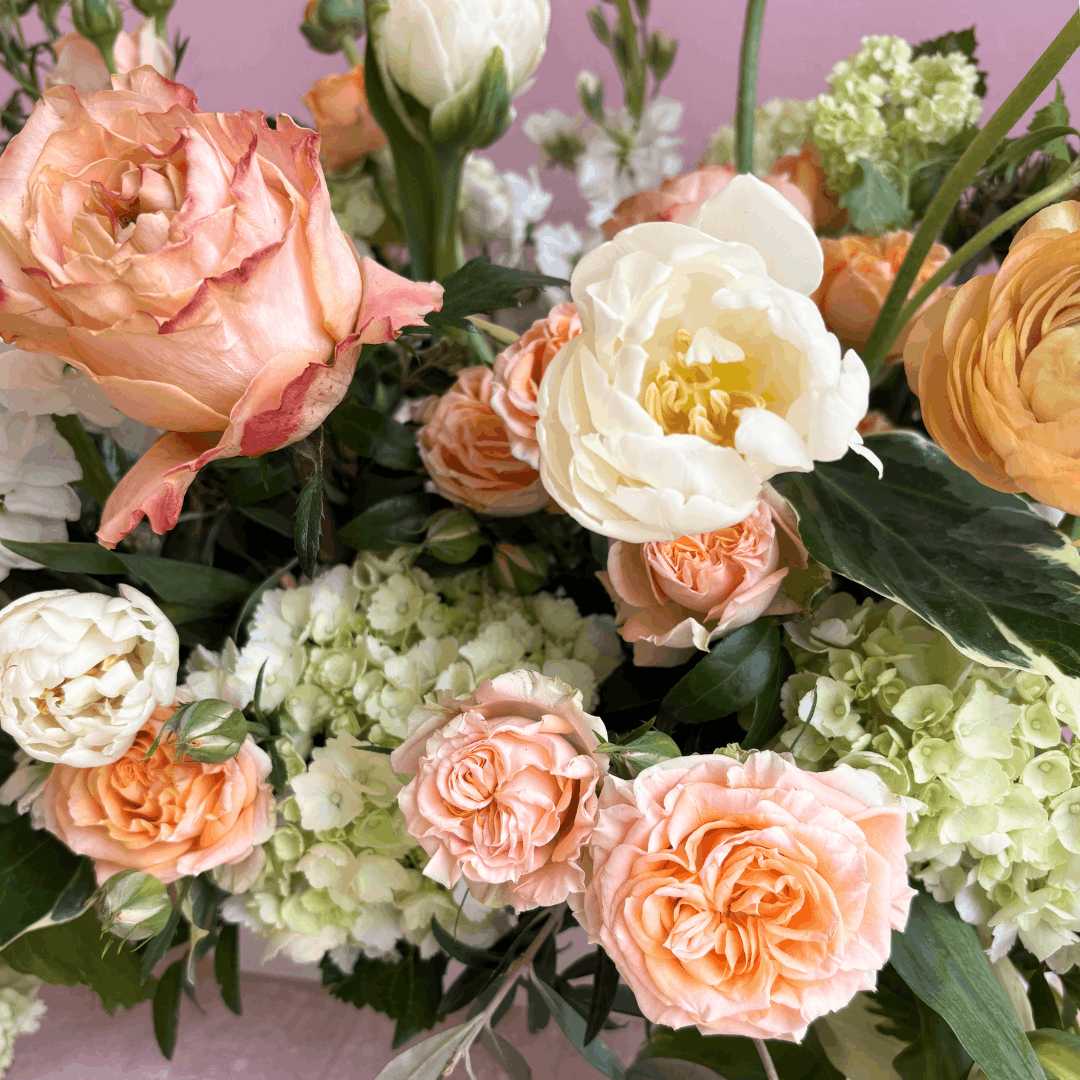 Peaches + Cream