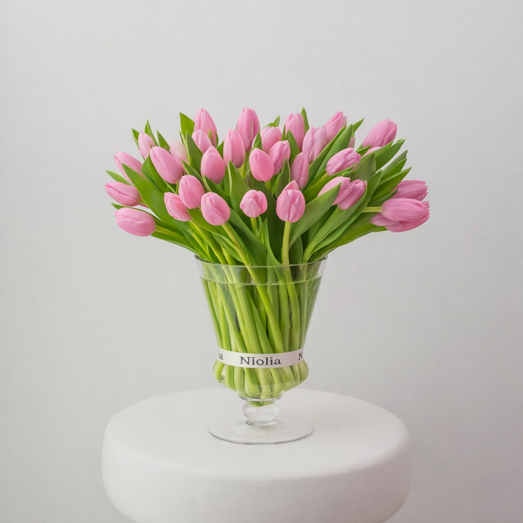 Pink Maison Tulips