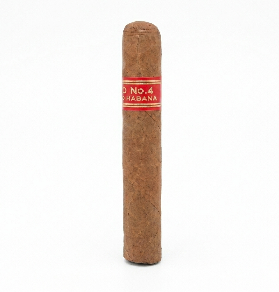 Cigar by Olympia Flowers — flowers available for delivery from Floom