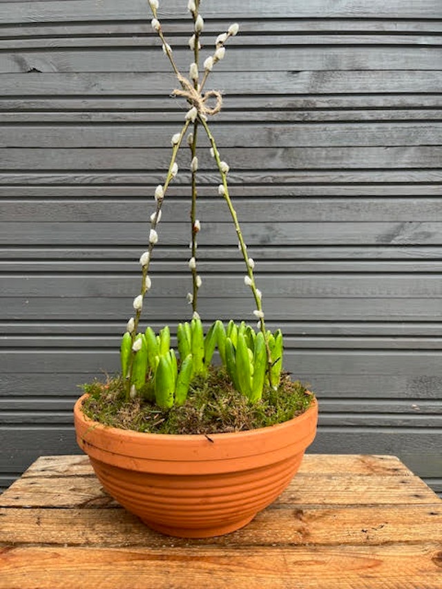 Terracotta bulb bowl