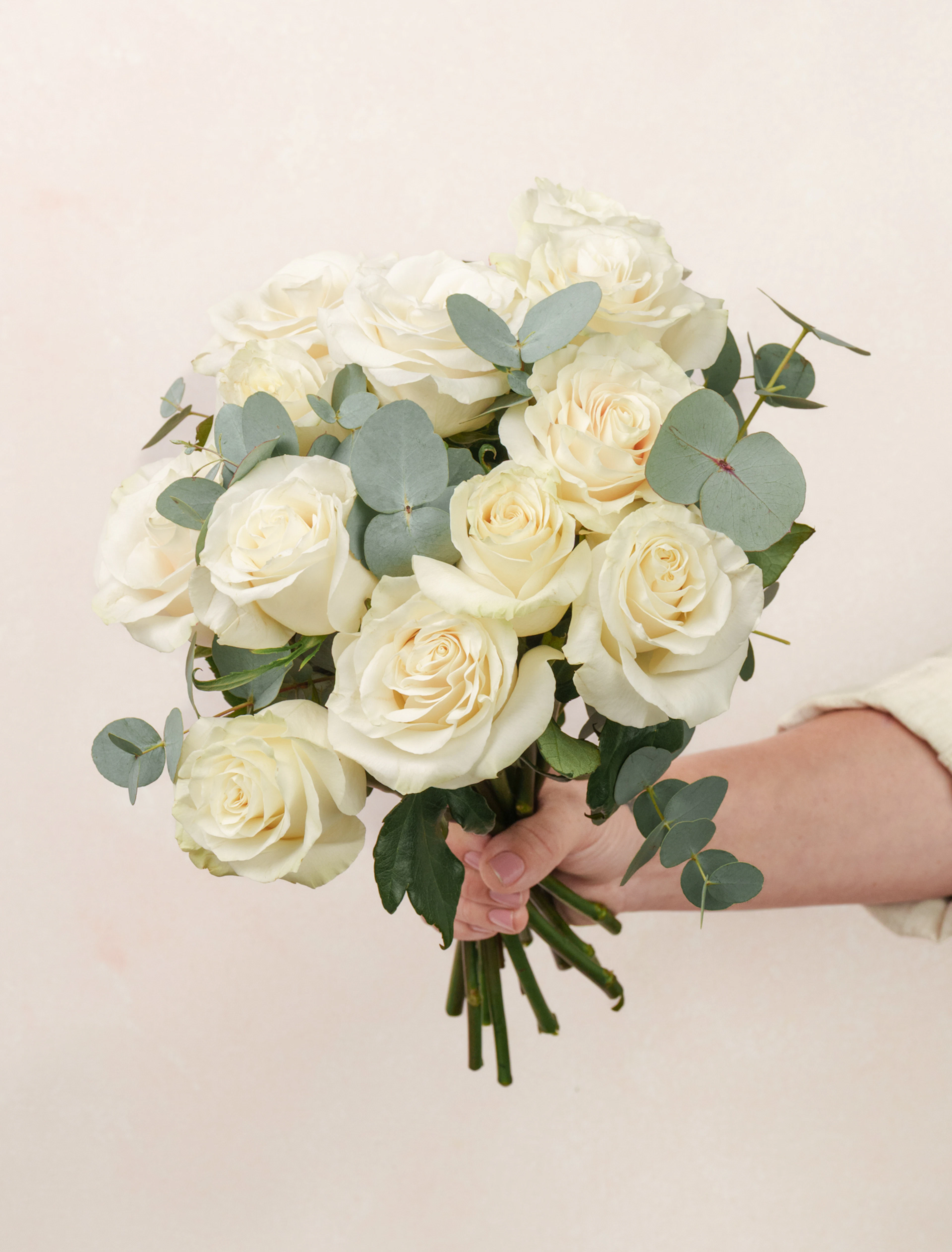 Josephine by Ode a La ROSE- Chicago — flowers available for delivery from Floom