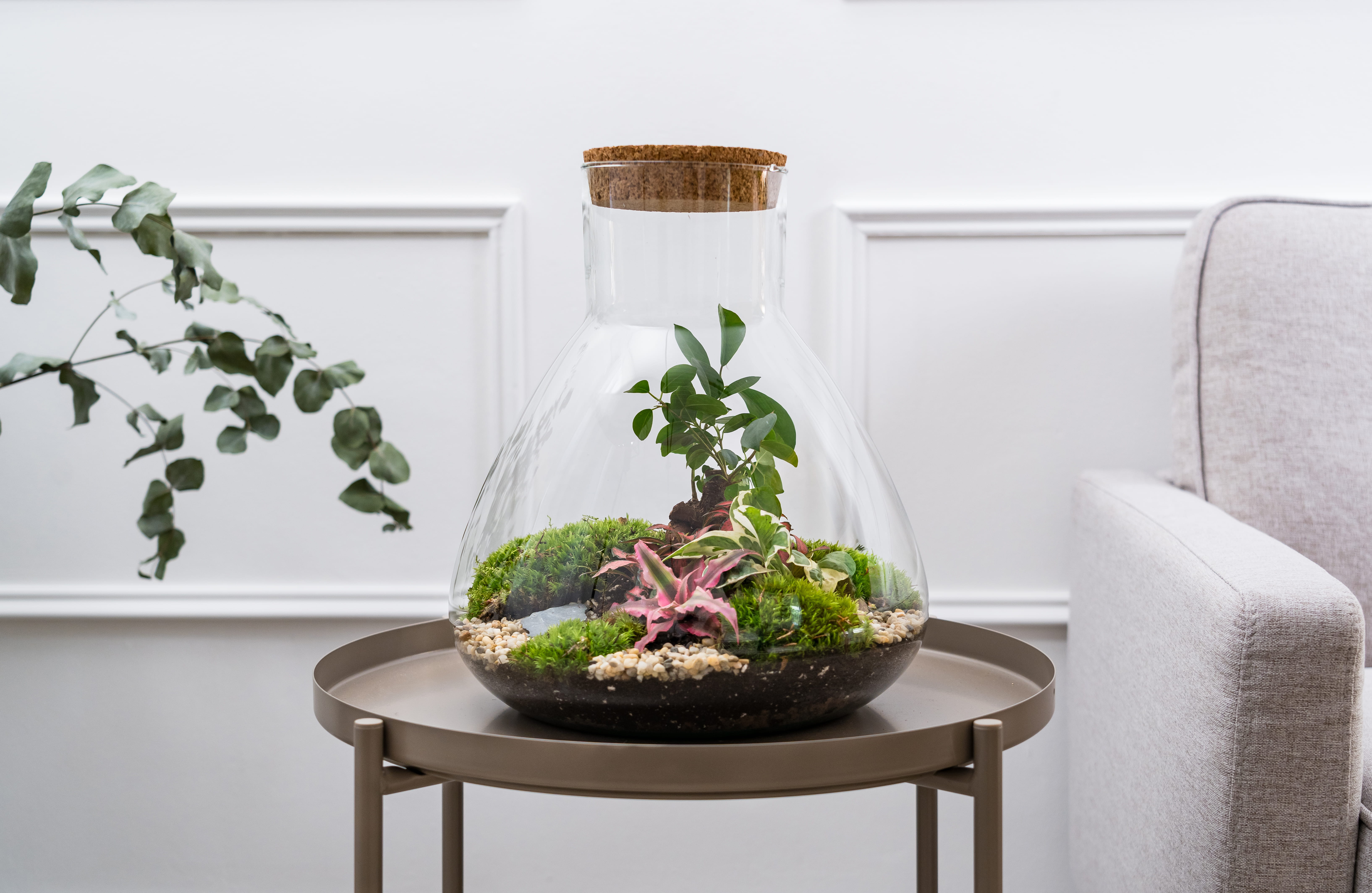 Terrarium Greenwich