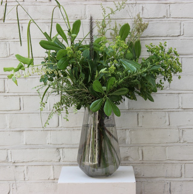 Herbaceous