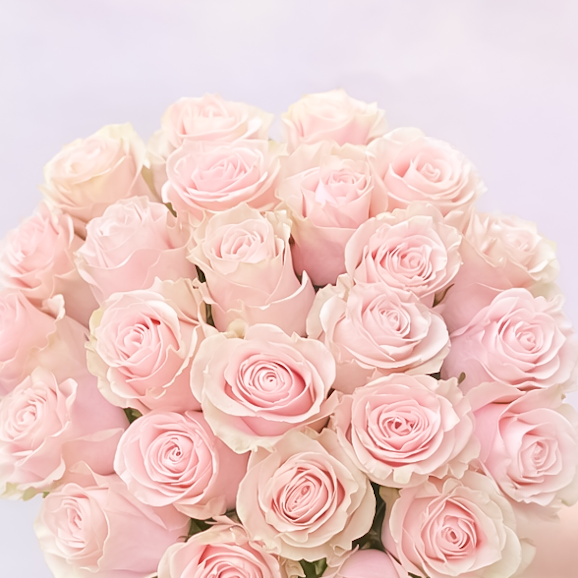 Pink Roses Bouquet