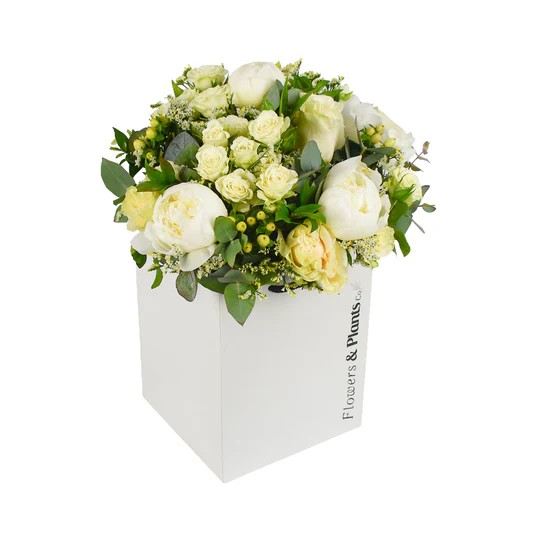 Original by Flowers & Plants Co — flowers available for delivery from Floom