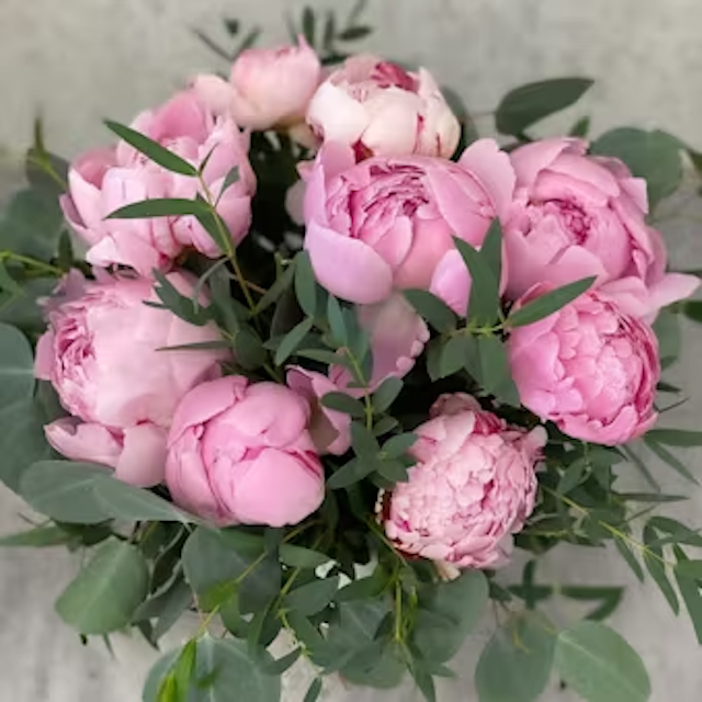 Peonies by Willians