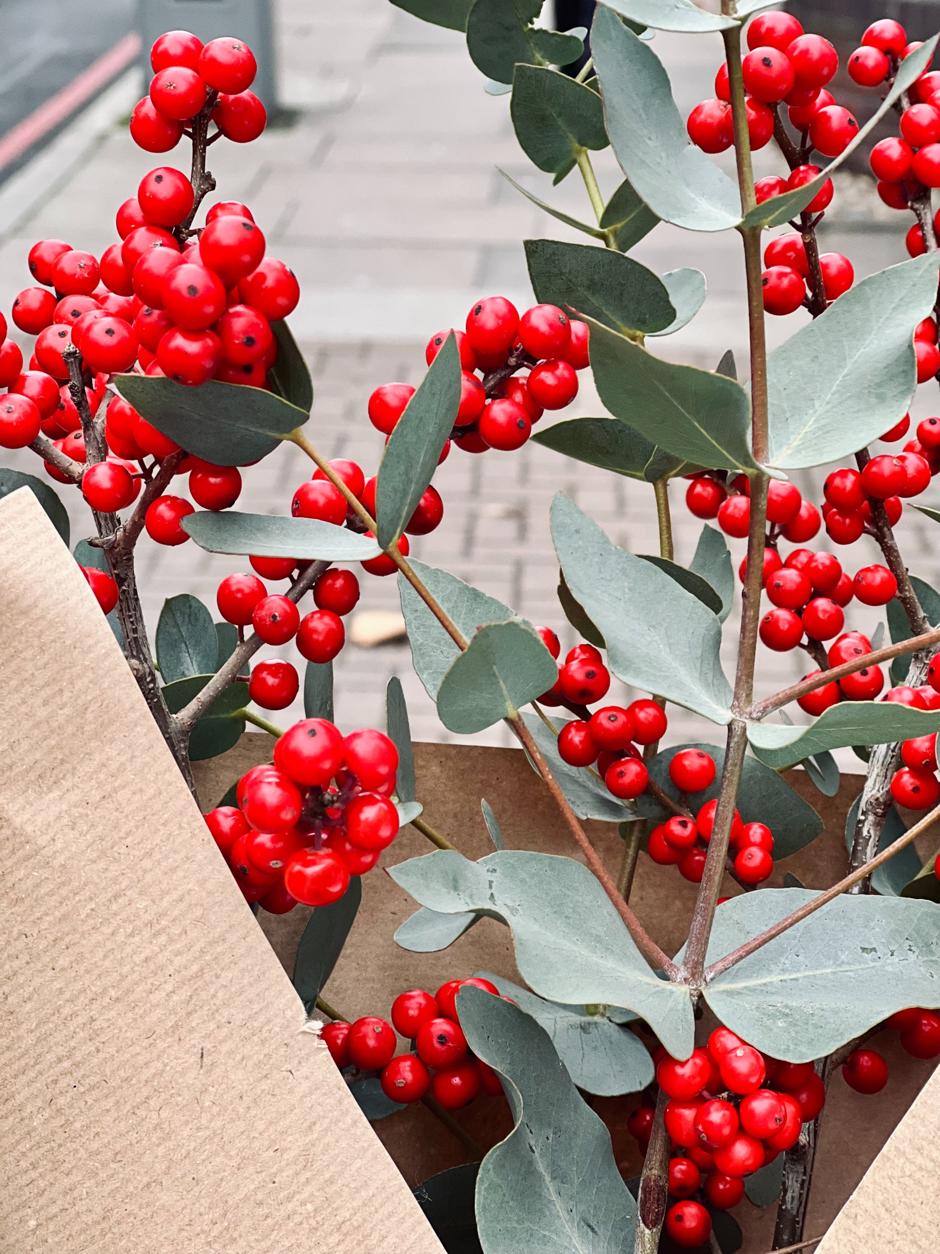 Christmas Aesthetics