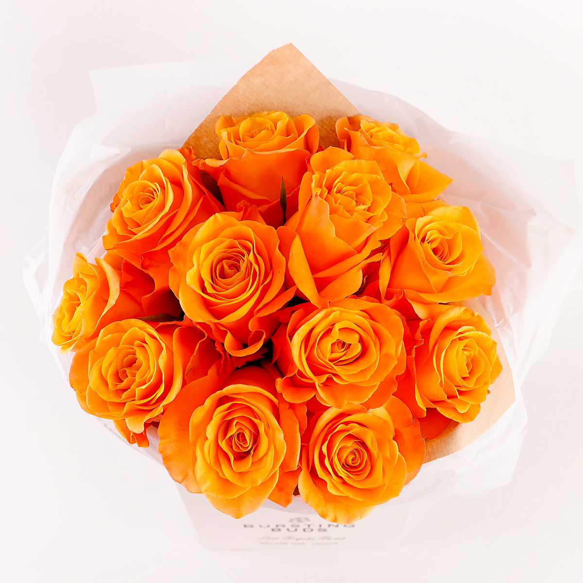 Golden Glow Elegance