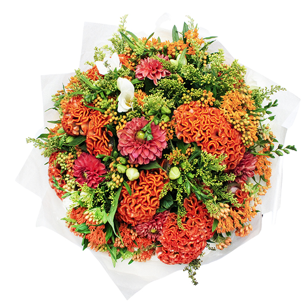 Love Street original