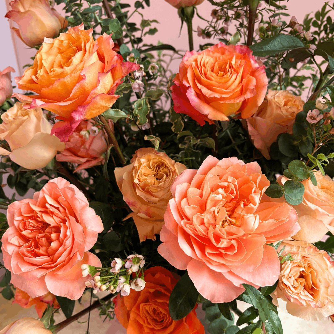 Mixed Rose Dozen