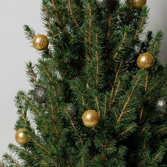 Mini tree