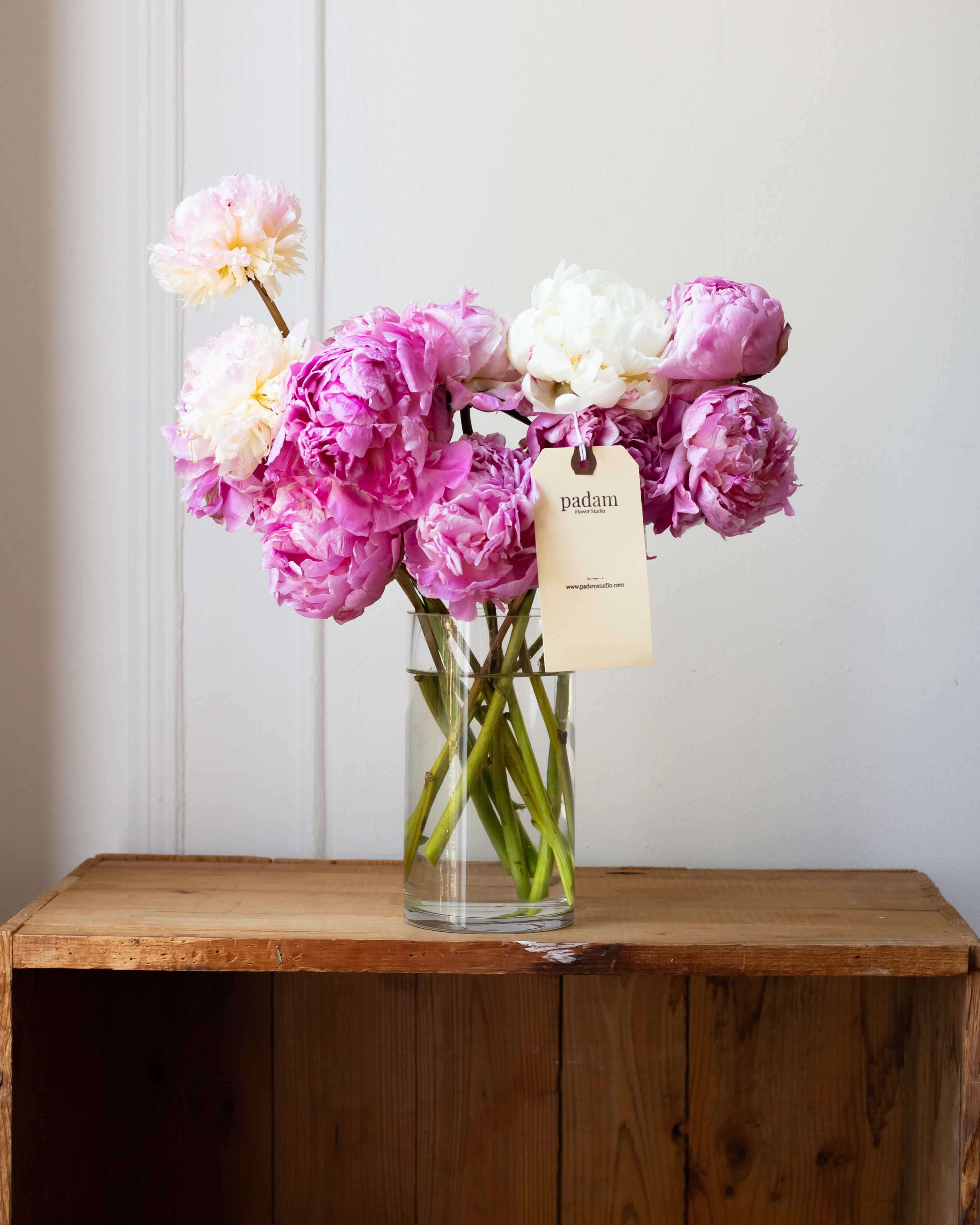 Peonies in a Vase